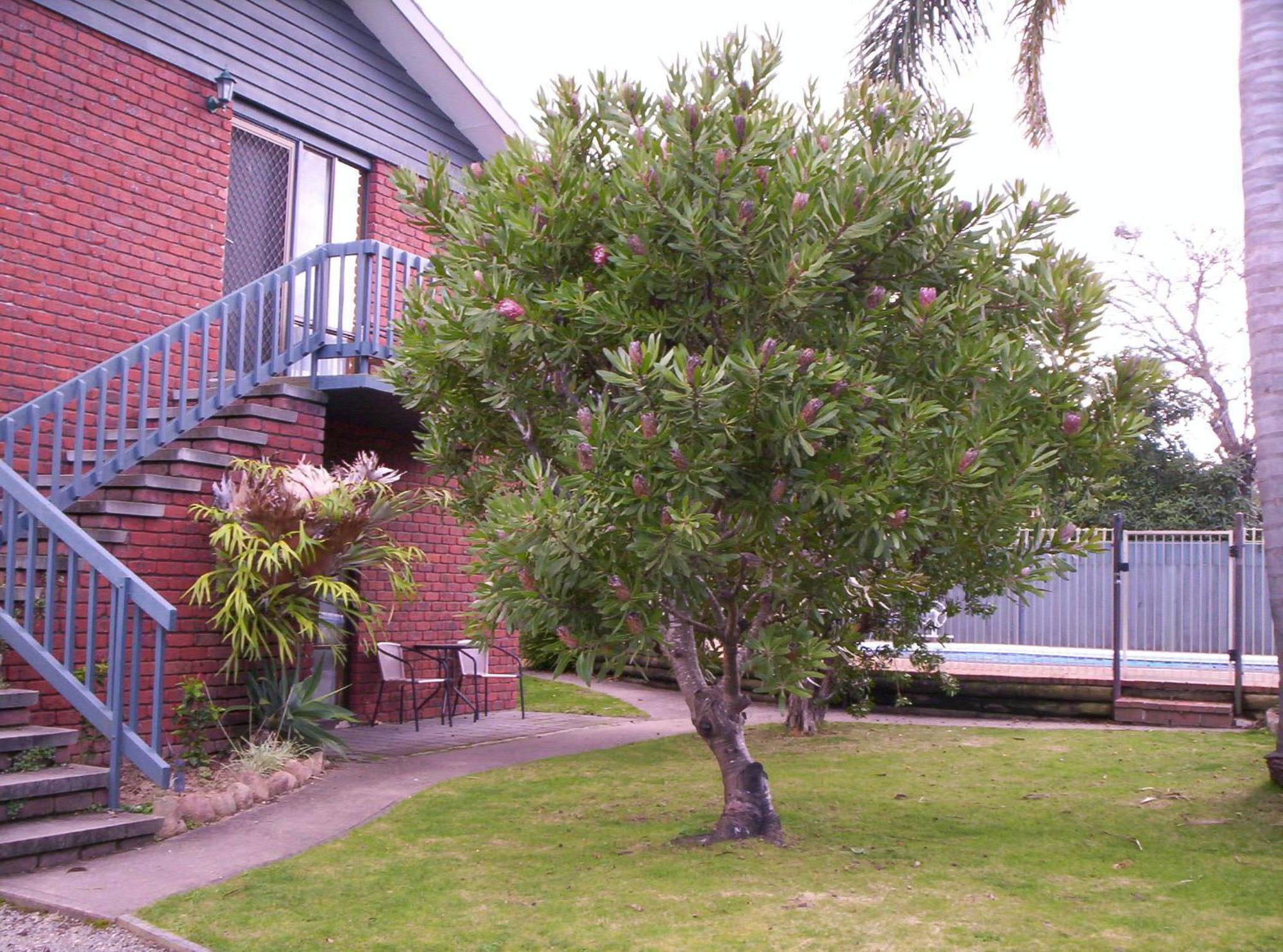 Harbour Lights Holiday Units Merimbula Esterno foto